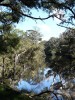 20080722 - Bream Fishing 7